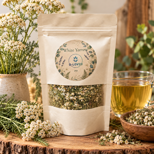 White Yarrow-Herbal Tea