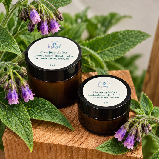 Comfrey Salve | Traditional Herbal Skin Care | B-Loved